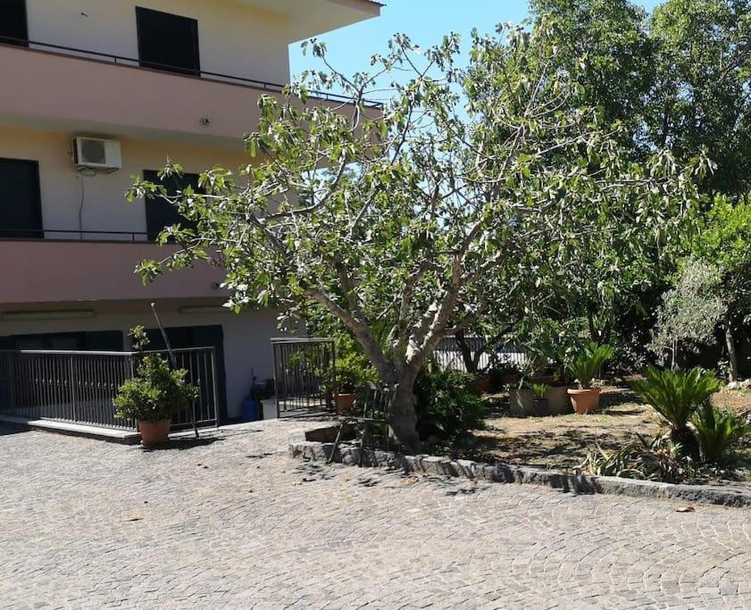 Villa Daniela Sarno Εξωτερικό φωτογραφία